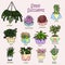 Vector cartoon doodle illustration. Collection succulents. Small garden, house plants. Background, wallpaper, template
