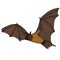 Vector Cartoon Flying Fox