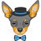 Vector cartoon hipster dog Chihuahua breed