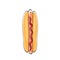 Vector cartoon hotdog icon with sausage isolated on white background. Vintage hot dog label design element.