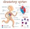 Vector cartoon illustration of human circulatory system for kids