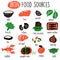 Vector cartoon illustration of iron food sources. Infographic