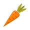 Vector cartoon isolated carrot icon