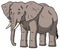 Vector Cartoon Male African Elephant