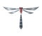 Vector cartoon mechanical robotic dragonfly. Toy androids with artificial intelligence, pet for games. Creature produced