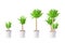 Vector cartoon plants clip art