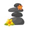 Vector cartoon relax, massage stones