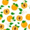 Vector cartoon seamless pattern with Prunus armeniaca or Apricot exotic fruits, flowers and leafs on white background