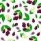 Vector cartoon seamless pattern with Syzygium cumini or Jambolan exotic fruits, flowers and leafs on white background