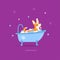 Vector cartoon style illustration of cute corgi dog taking a bath full of soap foam. Grooming concept. Violet background