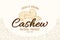 Vector cashew logo