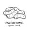 Vector cashew nuts badge