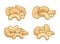Vector cashew nuts illustrations