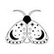 Vector celestial Moth black and white linear illustration isolated on white background