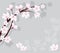 vector cherry branch on gray background