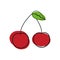 Vector cherry icon for your projects. Natural linear fruit. Logo of linear fruit with spots