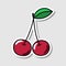 Vector cherry sticker in cartoon style. Isolated berry