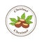 Vector chestnut logo in cartoon style