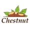 Vector chestnut logo in cartoon style.