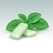 Vector Chewing Gum with Fresh Mint Leaves on White