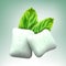 Vector chewing gum and green mint for fresh breath