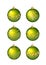 Vector christmas green balls with gold. Great decorative element dor your Christmas and New year design.