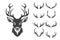 Vector Christmas Reindeer Horns, Antlers. Deer Horn Silhouettes. Hand Drawn Deer Horn, Antler Set. Animal Antler