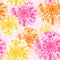 Vector chrysanthemum floral background. Seamless floral pattern with asters.