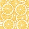 Vector citrus seamless background