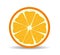 Vector citrus slices illustration