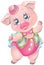 Vector clipart cartoon pig in carnival circus suit