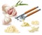 Vector clipart with garlic, cloves and metal press
