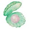 Vector clipart of the green seashell with pearl inside, stylized as watercolor. Open shell with pink ball inside, isolated on