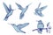 Vector clipart of isolated birds. Colorful hand drawn hummingbird, vector set