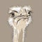 Vector closeup portrait of funny Ostrich Bird