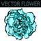 Vector clove flower with cyan petals and black edging