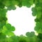 Vector clover leafs border