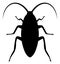 Vector Cockroach Flat Icon Symbol