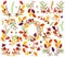 Vector Collection of Autumn and Thanksgiving Themed Floral Elements