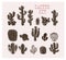 Vector collection of black hand drawn cactus sketch collection isolated on white background.