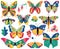 Vector Collection of Bohemian Stylized Butterflies and Moths