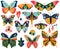 Vector Collection of Bohemian Stylized Butterflies and Moths