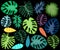 Vector Collection of Bright and Bold Tropical Leaves