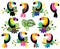 Vector Collection of Bright and Colorful Toucans and Tropical Leaves