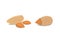 Vector collection of cartoon isolated almond. helthy nuts vegeterian food