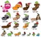 Vector Collection of Christmas Themed Stick Figure Pets