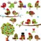 Vector Collection of Christmas and Winter Birds