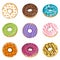 Vector collection with colorful donuts. Glaze, sprinkle and chocolate donuts with hand drawn texture.