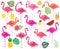 Vector Collection of Flamingos, Tropical Leaves, Fruit and Summery Drinks