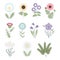 Vector collection of flat cartoon field flowers and herbs